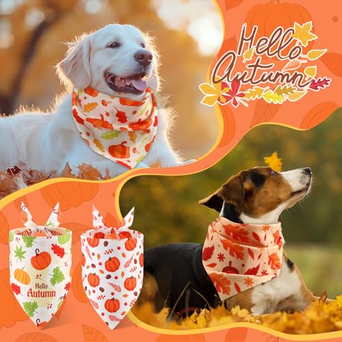Image of Abbylike 50 Pcs Fall Dog Bandanas Bulk, Autumn Harvest Pumpkin Pattern