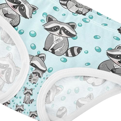 Cute Raccoons Toddler Girls's Underwear 2T 202c11274