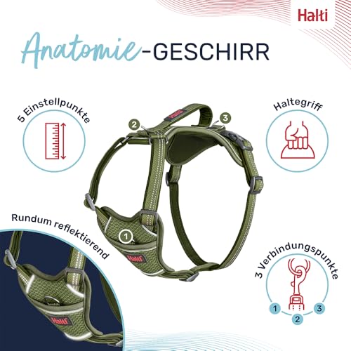 HALTI Anatomy Hundegeschirr mit Griff – Bewegungsfreiheit für deinen Hund. 3 Verbindungspunkte für die Leine, Neoprenpolsterung, verstellbar und reflektierend (Größe L, Grün)