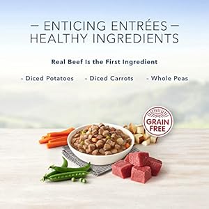 Blue-Buffalo-Delights-Natural-Adult-Small-Breed-Wet-Dog-Food-Cup-Prime-Rib-Flavor-in-Hearty-Gravy-35-oz-Pack-of-12 - Cucciolini Doodles   Blue-Buffalo-Delights-Natural-Adult-Small-Breed-Wet-Dog-Food-Cup-Prime-Rib-Flavor-in-Hearty-Gravy-35-oz-Pack-of-12