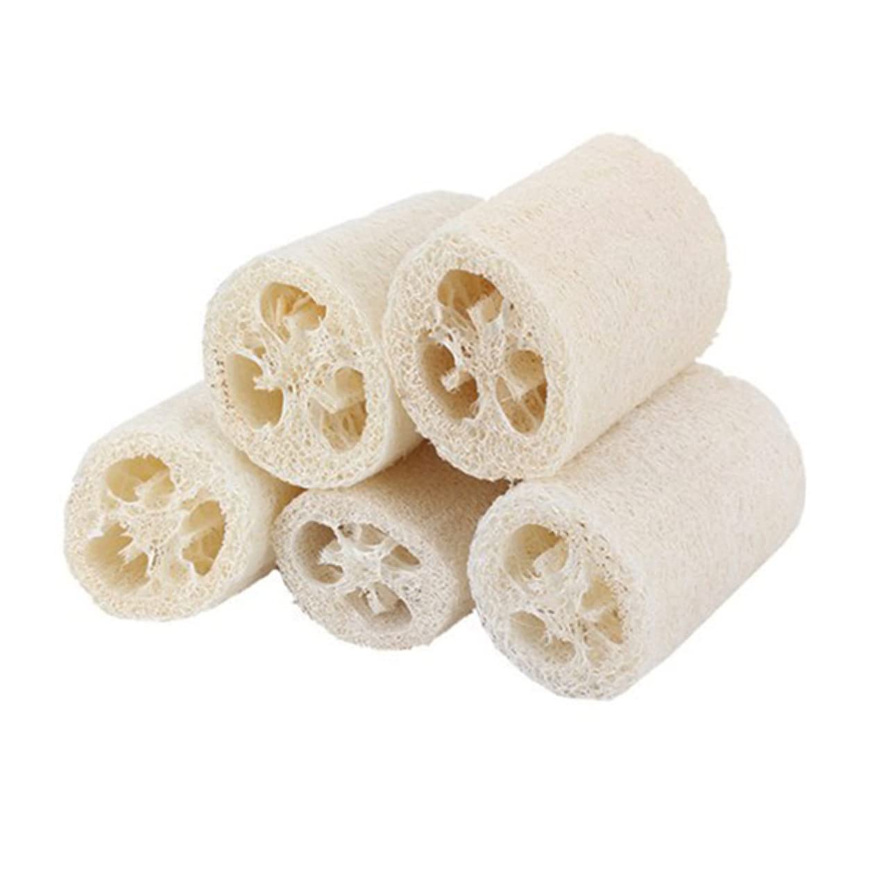 FRCOLOR Luffa Schwamm 15 Stk Badeschwamm Duschschwammwäscher Badeschwämme Zum Duschen Loufah Schwamm Natürlicher Schwamm Spülschwamm Badewannenreiniger Wäschesammler Weiß Badetuch Luffa