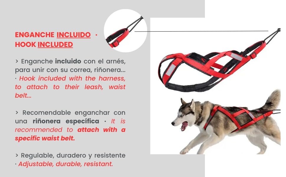 Migliori Pettorina Per Cani Da Slitta (con Recensioni