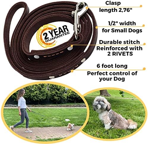 ADITYNA - Premium Leather Dog Leash - 6 ft, Heavy-Duty, Soft & Strong for Small/Medium Dogs - Perfect for Walking, Training, Hiking, and Running (Small: 6 ft x 1/2", Brown) - Image 5
