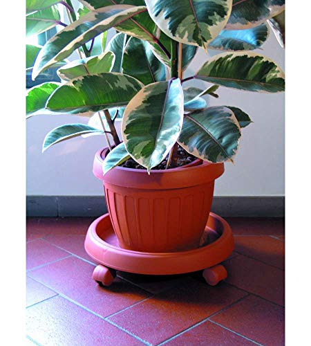 Bama - Sottovasi con Ruote