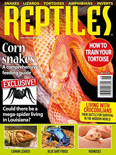 Reptiles