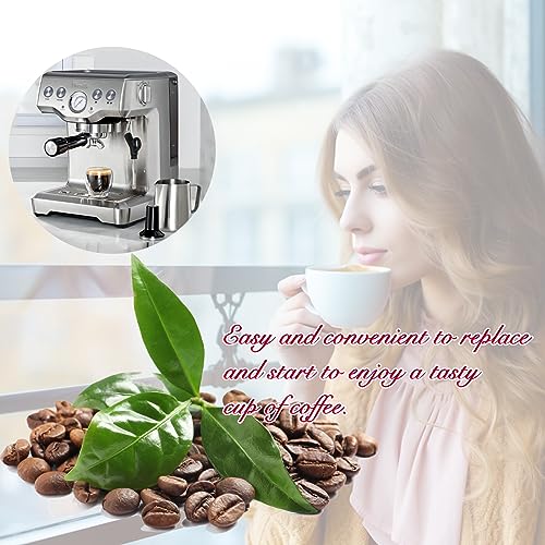 Compare 6 Pack Charcoal Water Filters Compatible with Breville BWF100