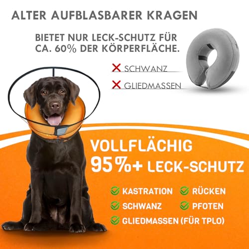 Aschpas® 2 IN 1 Aufblasbare Halskrause Hund, nur f​ür Mittel- und Großhunde Entwickelt,Trichter Leckschutz Hund nach OP, Dog Cone, Halskrause Katze, Hunde Donut [Size 6]