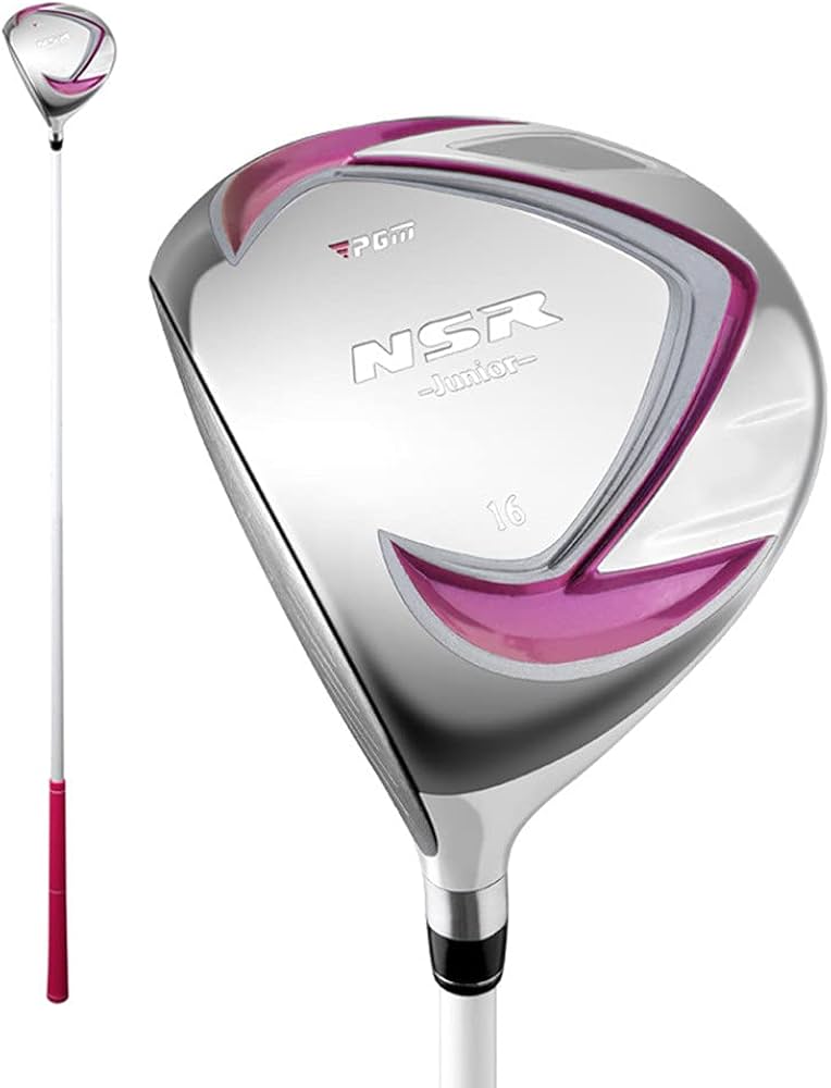 PING Heppler Ansers 5パター ヘッドカバー付き PING Heppler Ansers 5パター ヘッドカバー付き
