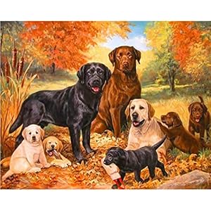Reofrey 5d Hond Diamond Painting Volwassenen Beginners Kits, DierenDiamant Schilderij Kits Kristal Strass Borduurwerk…