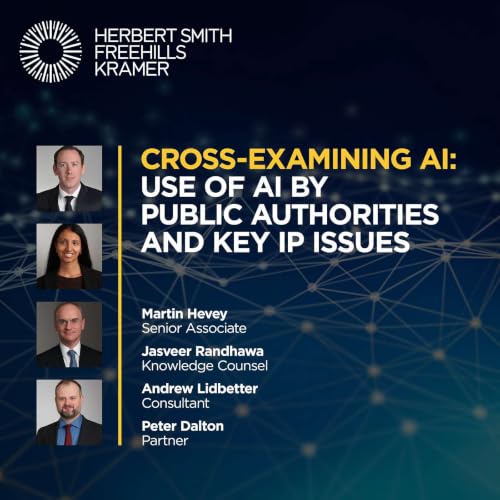 Cross-examining AI: Use of AI by public authorities and key IP issues
