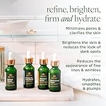 Tree of Life Beauty Facial Skin Care Set, Brightening, Firming, Hydrating, Dry Face, Dermatologist Tested - Niacinamide + Vitamin C + Retinol + Hyaluronic Acid Serum - 4 count of 1 Fl Oz - Image 2