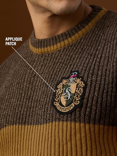 Image of The Souled Store Harry Potter: Lion's House Men and Boys Full Sleeves Crew Neck Striped Acrylic Ribbed Knit Pop-Culture Oversized Pullovers