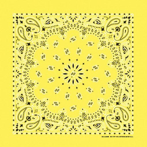 Hav-A-Hank Yellow Paisley Bandanna, 22x22, Made in USA