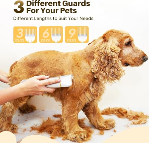 Image of Boltz 4 in 1 Dog & Cat Hair & Paw Trimmer with Nail Grinder - Silent Cordless Grooming Kit for Pets - USB Rechargeable, IPX7 Waterproof, 4 Attachments for Paws, Ears, Face & Nails (White)