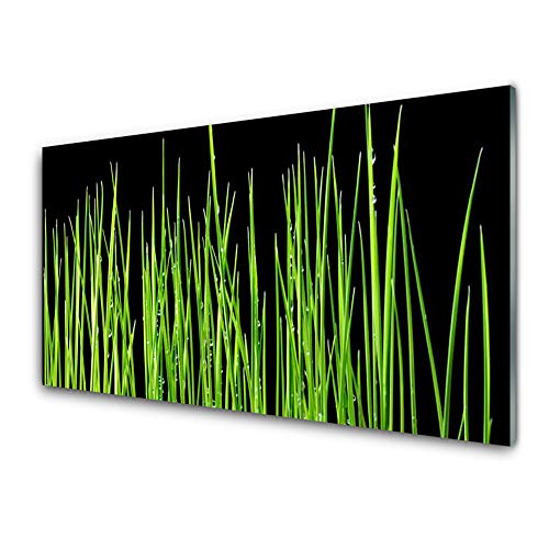 Art mural 100x50 cm verre trempé anti rayure pour mur salon cuisine