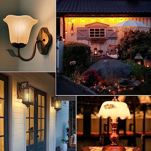 Grensk G40 E26 Amber Small Led Light Bulbs,1W Small Edison Bulb,10 Watt Incandescent, Low Watt Decorative Light Bulbs 2200K Warm White Pineapple Shaped For Outdoor Light Strings,Non-Dimmable,Glass,2-Pack thumb #6