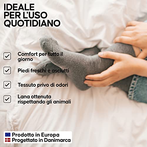 DANISH ENDURANCE 3 Paia Calze in Lana Merino