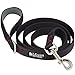 Leashboss HD Pro - 2 Layer Dog Leash with Padded Handle - Durable 6 Foot Heavy Duty Double Ply Leash for Medium & Large Dogs