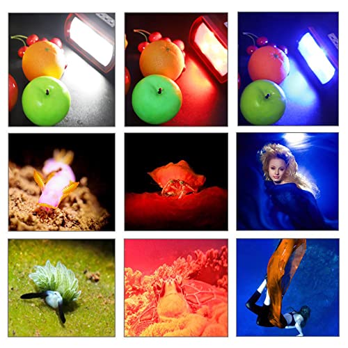 Seafrogs Diving Led Video Light 130Ft/40M Waterproof White Red Blue Light Underwater Camera Filling Lights With Ball Head Ys Adapter Photography Lighting For Gopro, Housing, Bracket(Sl-21) #TOP7