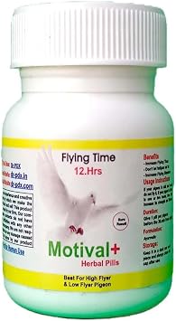 Pigeon Flying Performance Supplement Motival Plus Pills, Ayurvedic Formula, No Any Side-Effect No Pigeon Loss Pack 25-50 Pill 50.Pills X 2 Pack