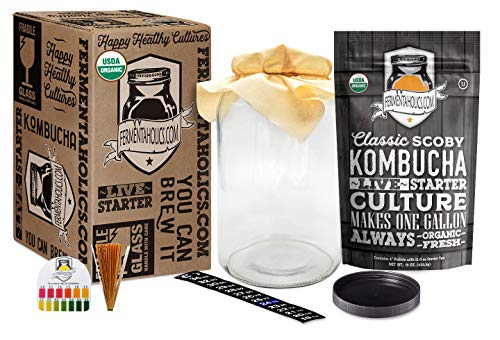 Kombucha Essentials Kit - ORGANIC SCOBY (starter culture) + 1-Gallon Glass Fermenting Jar