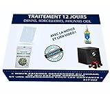 Roqya Komplettes Pflegemittel, 12 Tage, Böser Auge, Orcellerie-Possession-Sounna-Coran-Djinn-Sihr, Koranischer Koranischer Koranischer Koranusöl, Senöl, Koranischer Räucherstäbchen