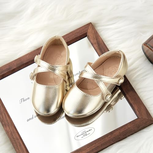 Flaryzone Toddler/Little Girls' Ballerina Flat Mary Jane Princess Dress Shoes - Wedding School Party4