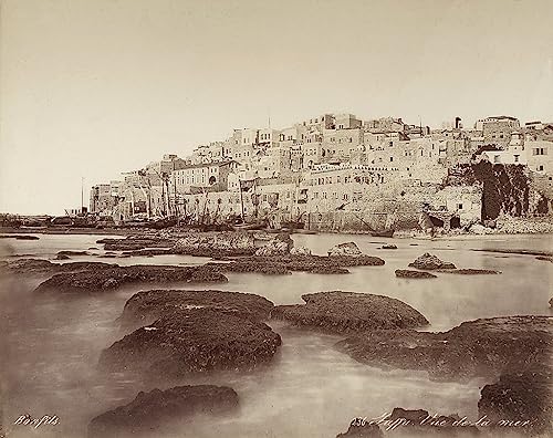 Affiche toile Jaffa Israël Félix Bonfils 50x70cm SERENDIPITP