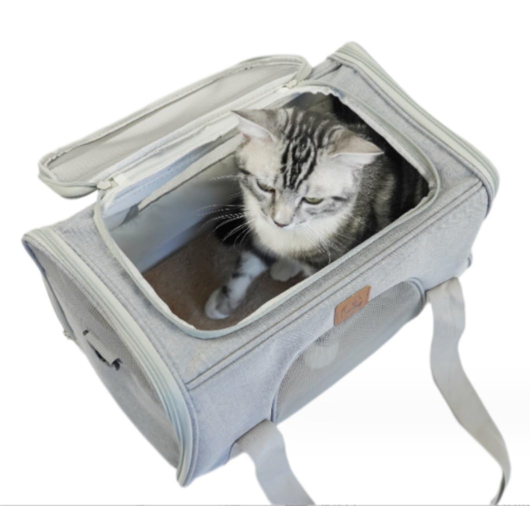 Gabbia per Gatti Trasportino per Cani Borsa Per Animali Domestici Zaino Per Cuccioli Trasportino Per Gatti Di Grandi Dimensioni Trasportino Per Gatti Di Piccole Dimensioni Contenitore Per Gatti Rigido