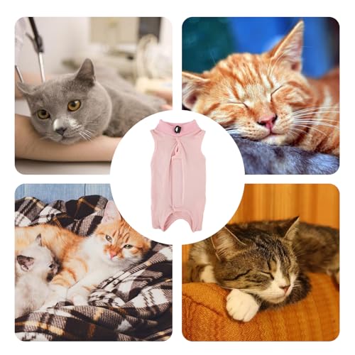 Katzenbody Nach Op,Katzen Body Für Katzen Operation,Body Katze Nach OP,Professioneller Genesungsanzug für katzen,Recovery Suit Anti-Leck E-Halsband Alternative für Bauchwunden Hautkrankheiten (Rosa,M)