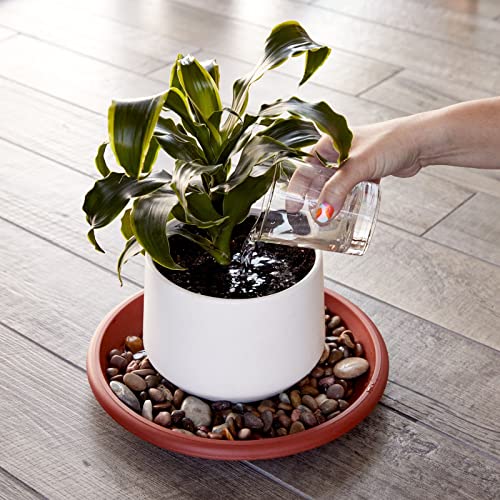 8-Pack Round Plastic Plant Saucer Drip Trays, Terracotta Flower Pot Saucers, Dish For Indoors, Outdoors, Garden, Potted Plants, Home, Patio, Tabletop Planter Base, Terra Cotta Plate Set (12-Inch) #TOP2