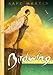 Birdwing