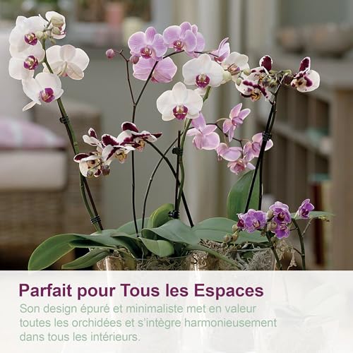 Pot pour orchidée transparent contre l'excès d'eau et racines pourries - 7
