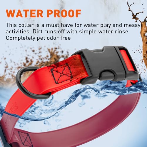 Image of Dogline Biothane Waterproof Dog Collar with Quick Release Buckle Strong Coated Nylon Webbing with Odor- Proof for Easy Care Easy to Clean Fits Small Medium or Large Dogs, Red 3 /4 inch W 12-19 inch L