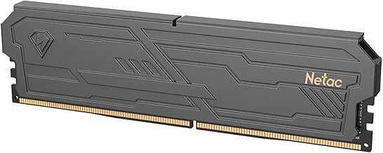 Netac DDR4 8 Go 2666 MHz RAM de bureau DDR4 CL19 mémoire de jeu 8 Go avec réfrigérateur pour jeu d'ordinateur Noir