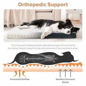   JOEJOY-Orthopedic-Dog-Bed-for-Extra-Large-Medium-Dogs-Big-Dog-Bed-with-Removable-Waterproof-Cover-Egg-Crate-Foam-Pet-Bed-Mat-Washable-Dog-Crate-Bed-with-Non-Slip-Bottom-36x27-Inch