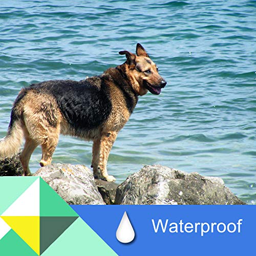 Rmolitty Collare Antipulci Antiparassitario Cane