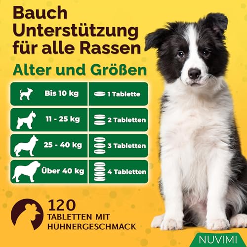 NUVIMI Probiotika für Hunde – 120 Probiotika- und Präbiotika-Tabletten für Hunde mit Hühnergeschmack – Stärkung des Immunsystems und Unterstützung der Verdauung – Vorrat für 1–4 Monate