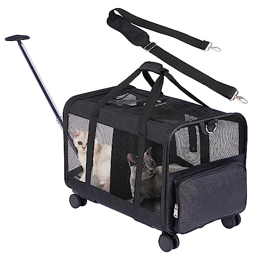 FASNATI Katzentransportbox für 2 Katzen mit Doppelabteil, Transportboxen für kleine Hunde mit Abnehmbarer Trennwand und Rollen, Faltbare Transporttasche für große Katzen bis 12kg, Schwarz FASNATI Katzentransportbox für 2 Katzen mit Doppelabteil, Transportboxen für kleine Hunde mit Abnehmbarer Trennwand und Rollen, Faltbare Transporttasche für große Katzen bis 12kg, Schwarz