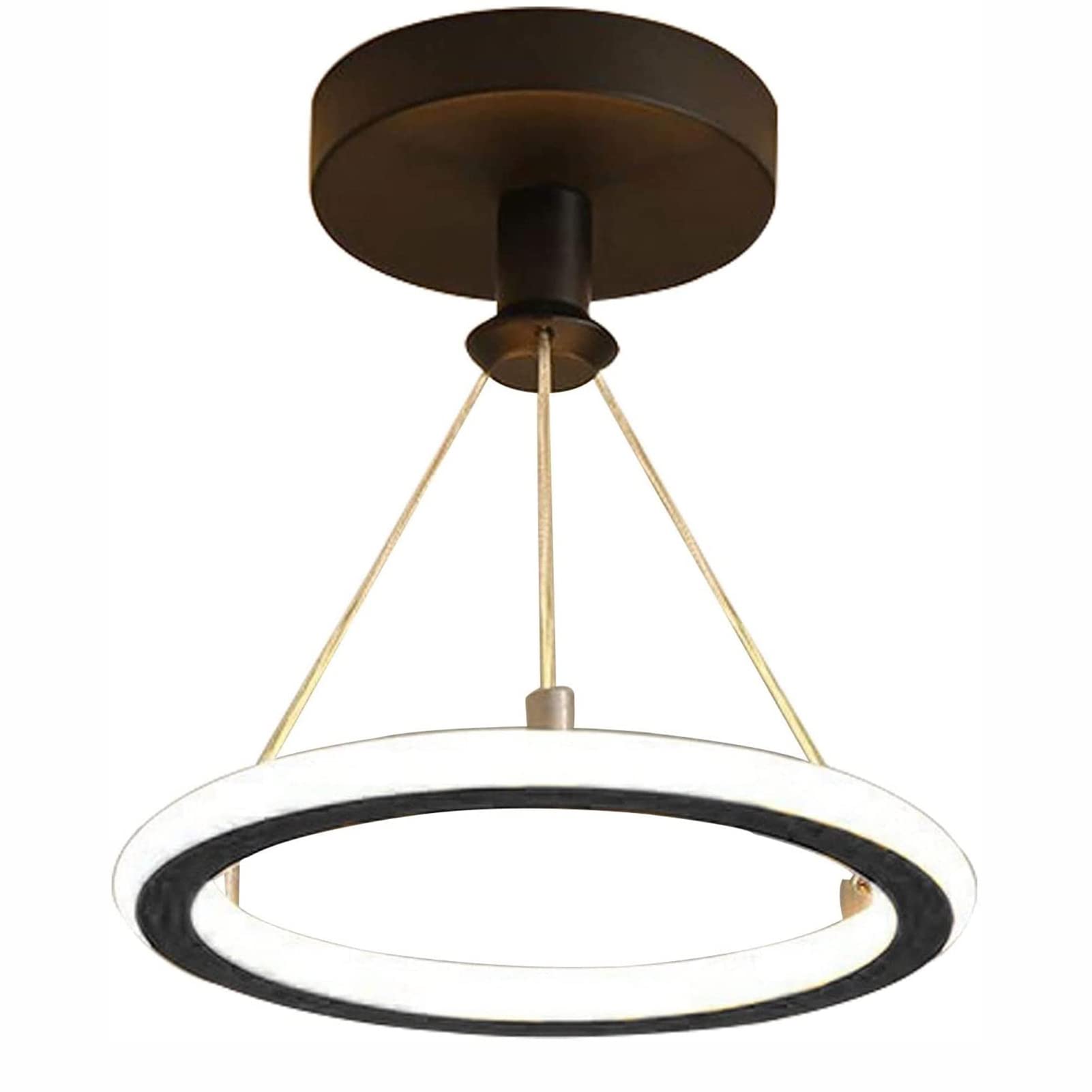 Amazon.com: Droplight Light Modern, Dimmable 1-Ring