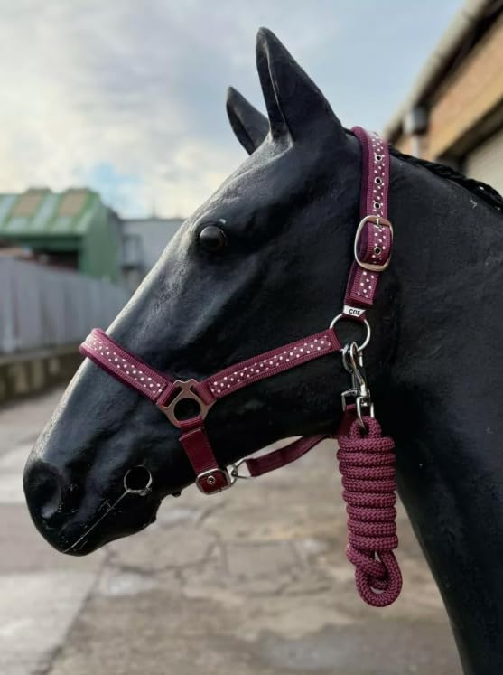 Horse Headcollar and Lead Rope Set, Burgundy with Polka Dots, Adjustable Halter Full-Mini Shetland (Mini Shetland)