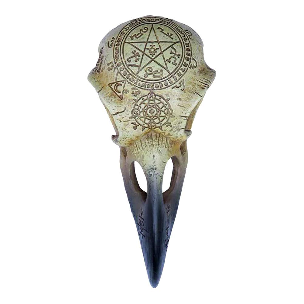 Amazon.com: Alchemy Gothic Omega Raven Skull : Home & Kitchen