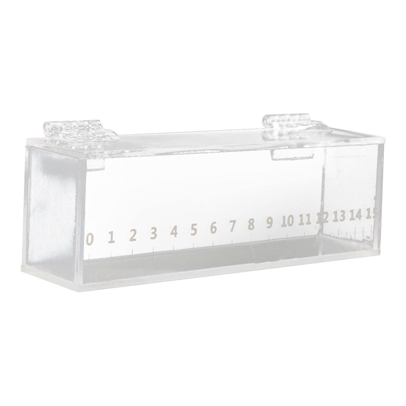 Fish Viewing Box,Acrylic Fish Breeding Box,Fishing Photo Tank,Hatching Boxes, Clear Micro Landscape Fish Tank with Scale