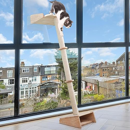 Top 10 Cat Ladder Trees Reach New Heights with the Ultimate Buying