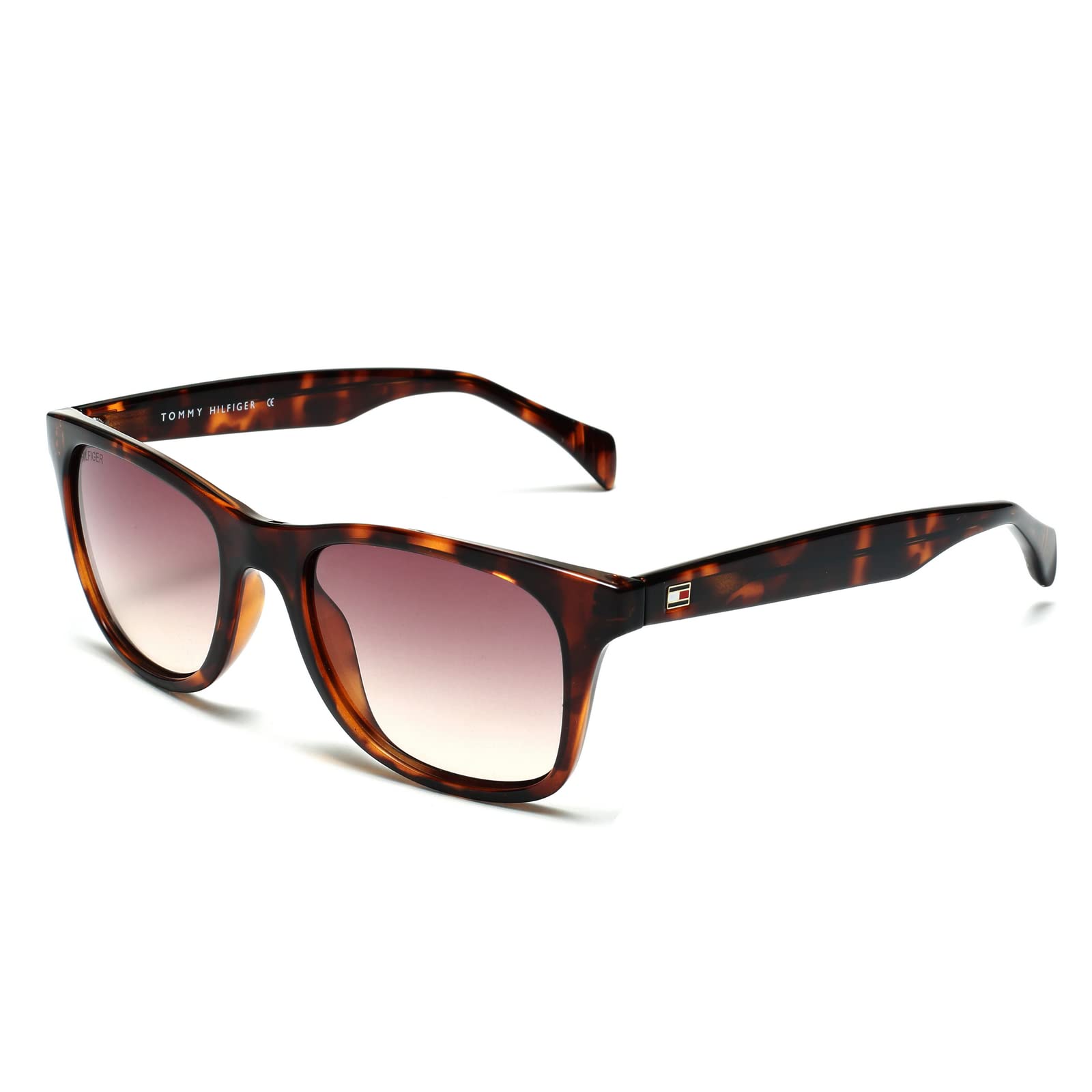 Tommy Hilfiger Unisex Non-Polarized Plastic Wayfarer Sunglasses