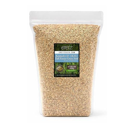 Kentucky 31 K31 Tall Fescue Grass Seed by Eretz - Choose Size! State Certified, No fillers, No Weed or Other Crop Seeds (3lbs)