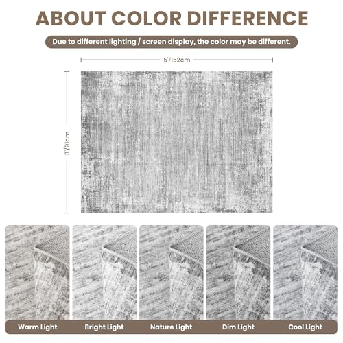 zesthome 3x5 Area Rugs, Modern Washable Rug, Non-Slip Rugs for Living Room, Stain Resistant Abstract Rugs, Ultra-Thin Indoor Area Rug 3x5, Home Decor Grey Rug