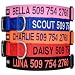 GoTags Personalized Dog Collar, Custom Embroidered with Pet Name and Phone Number in Blue, Black, Pink, Red and Orange, for Boy and Girl Dogs, 4 Adjustable Sizes, XSmall, Small, Medium, and Large
