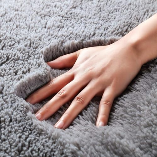 Image of F & B RUGS ; SUPERIOR QUALITY PRODUCTS Firoz and Brothers Shaggy Rug Microfibre 4x4 feet Dark Grey Colour