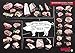 carneo Schweinefleisch/Pork, Cuts für echte Fleischkenner, Plakat (DIN A1)